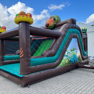 Stormbaan Dino 7 meter variant C